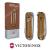 titano-store fr couteau-special-picknicker-damast-2022-victorinox-v-083-01j22-p1084312 030