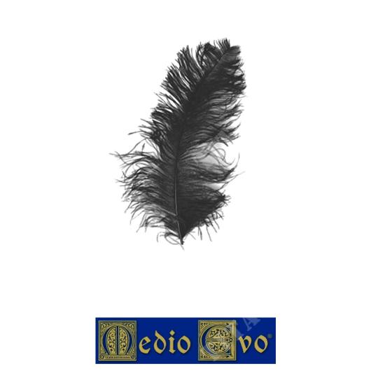 BLACK FEATHER FOR MEDIEVAL ARMOR (1100.12-N)