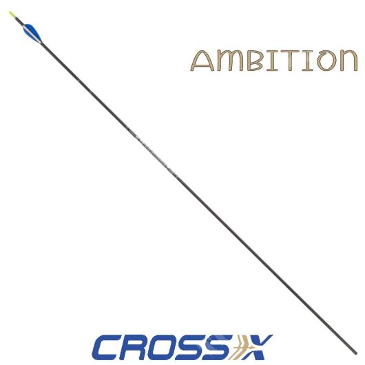 AMBITION ARROW WITH DISASSEMBLED POINT SPINE 800 CROSS-X (53Q239)